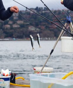 Vergunningsaanvraag Vis vangen